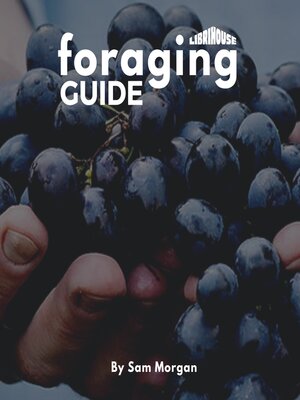 cover image of Foraging Guide